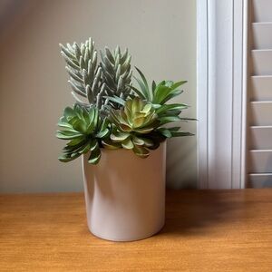fake plant home decor succulent